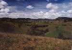 Landschaft im Barrington Top National Park