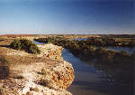 traumhafte Landschaft am Murray River