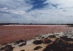 auf dem Weg ins Outback der Pink Lake bei Port Augusta
